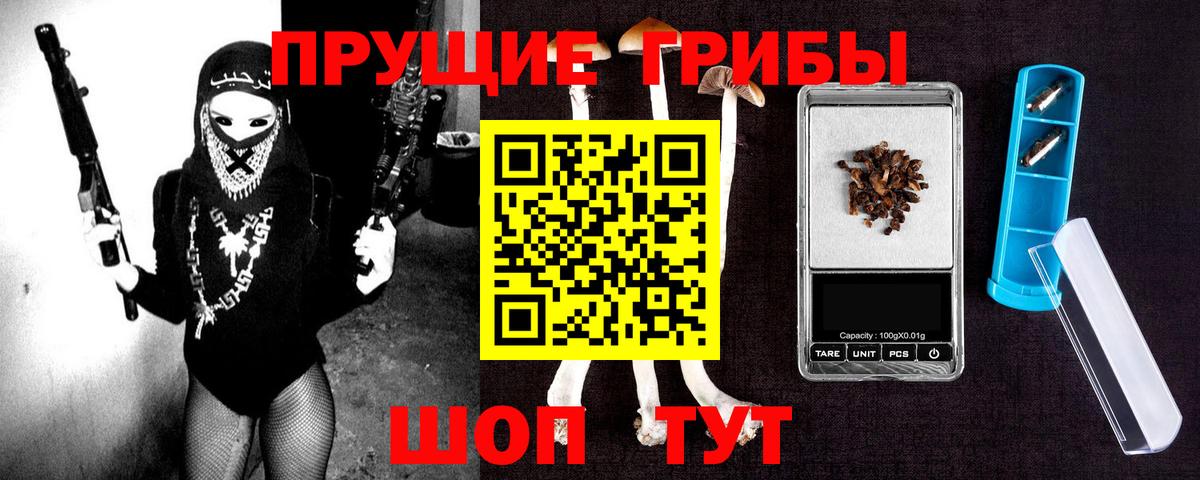 Галлюциногенные грибы Psilocybine cubensis  закладки  Вход с VPN  Котельники  Псилоцибиновые грибы Cubensis 